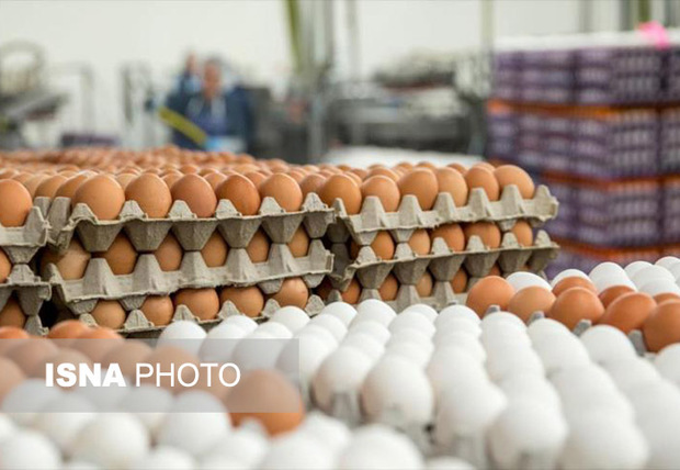 َآذربایجان شرقی رتبه سوم تولید تخم مرغ را به خود اختصاص داده است