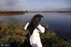 منتخب تصاویر امروز جهان- 13 دی 1400