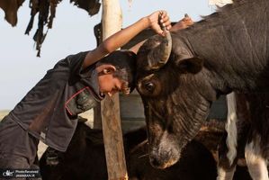 منتخب تصاویر امروز جهان- 4 مهر