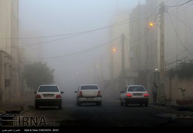 مه صبحگاهی پدیده غالب بوشهر در چند روز آینده است