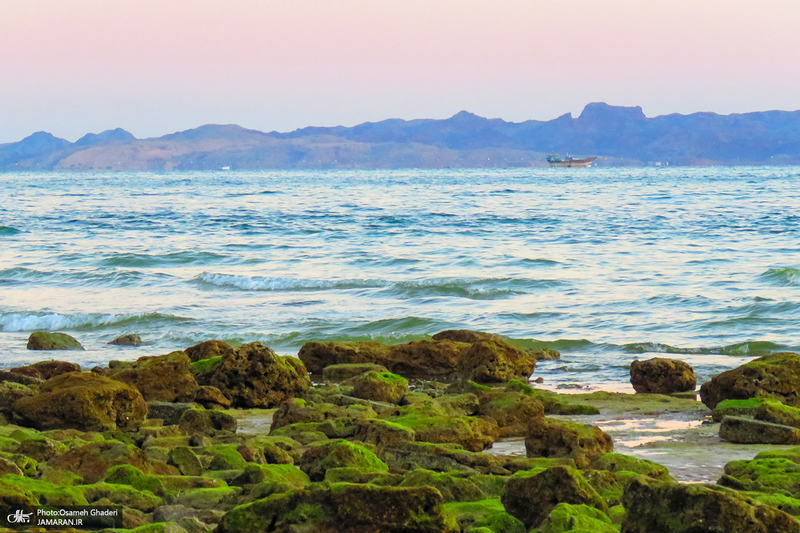 پارک زیتون قشم