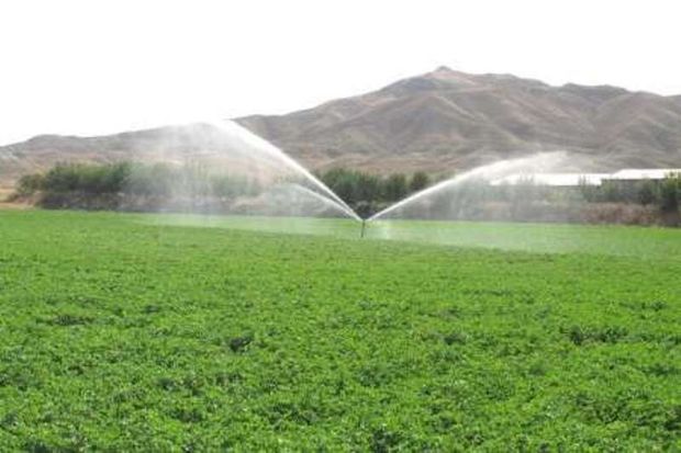 اجرای سامانه نوین آبیاری در ۲۷ هزار هکتار زمین های کشاورزی یزد
