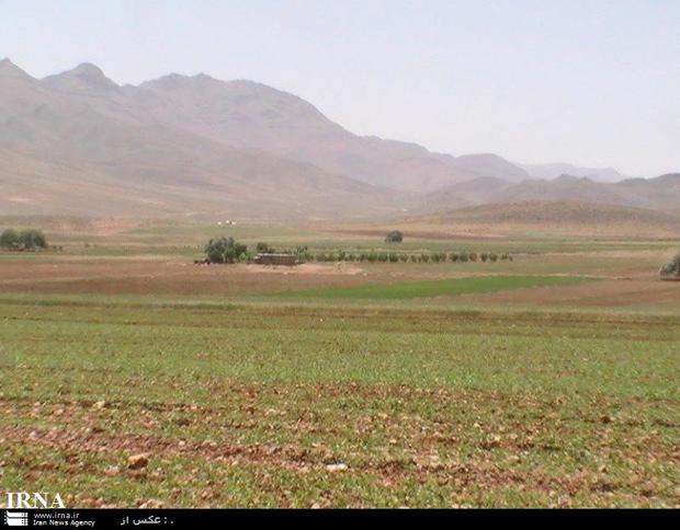 گندم زارهای بجنورد از سطح سبز مطلوبی برخوردار نیست