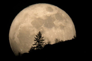 چگونه می‌توان یک شب در ماه زنده ماند؟
