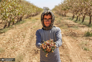 منتخب تصاویر امروز جهان- 23 شهریور