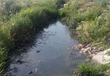 تنفس ممنوع   اینجا ورودی شرق شیراز است