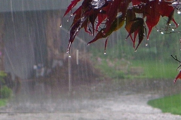 افزایش  29 درصدی بارندگی ها در نقده