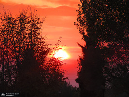 باغ گیاه‌شناسی ملی ایران‎