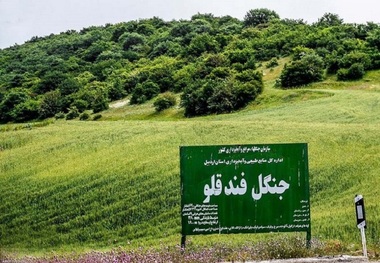 جنگل فندقلو اردبیل احیا می شود