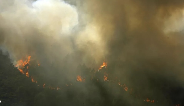 پرتغال در آتش می سوزد