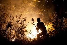 آتش سوزی در 60 هکتار از اراضی ملی و کشاورزی در تفرش و زرندیه
