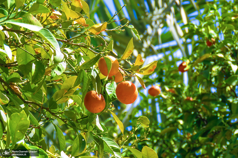 آرامگاه حافظ؛ حافظیه‎