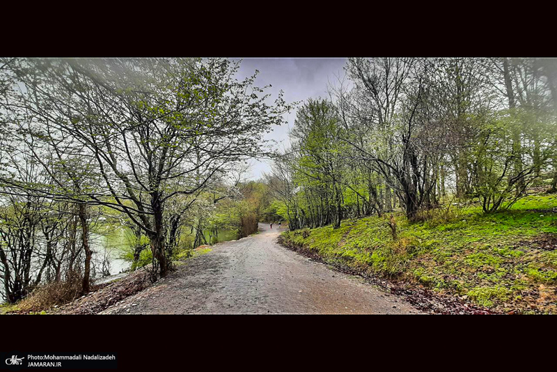 دریاچه آویدر نوشهر