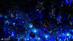 منتخب تصاویر امروز جهان- 6 دی 1400