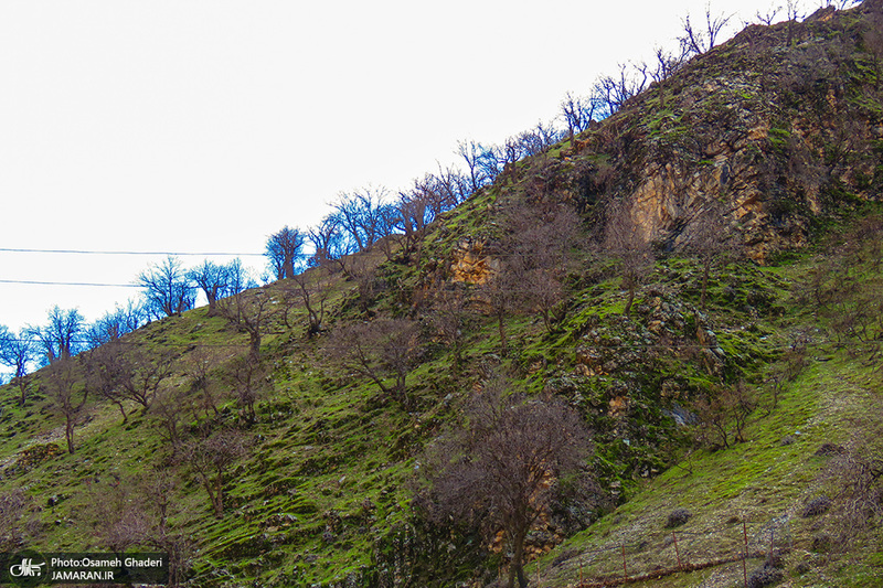 روستای سفیدآب پاوه