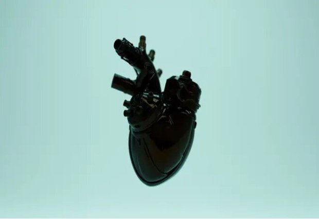 کوچک‌ترین قلب مصنوعی جهان