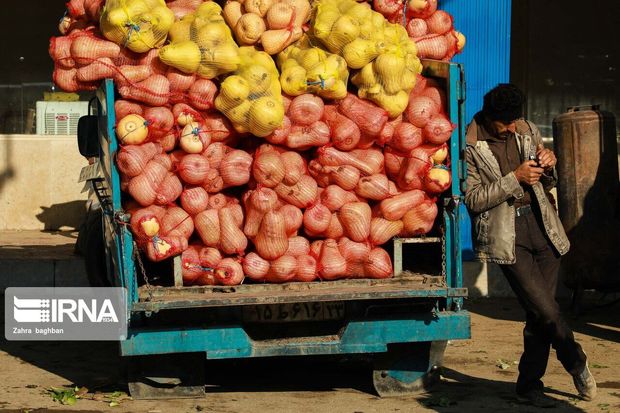 دلالان گلوی صنعت کشاورزی سبزوار را می‌فشارند