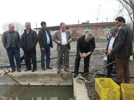 رونق بهره برداری از پتانسیل های آبزی پروری در بیله سوار مغان