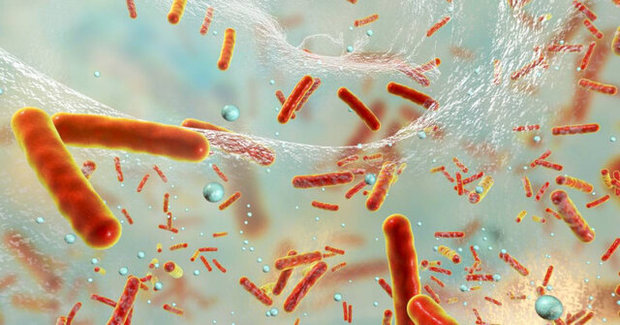 تشخیص باکتری‌های مضر خون تنها با یک دستگاه
