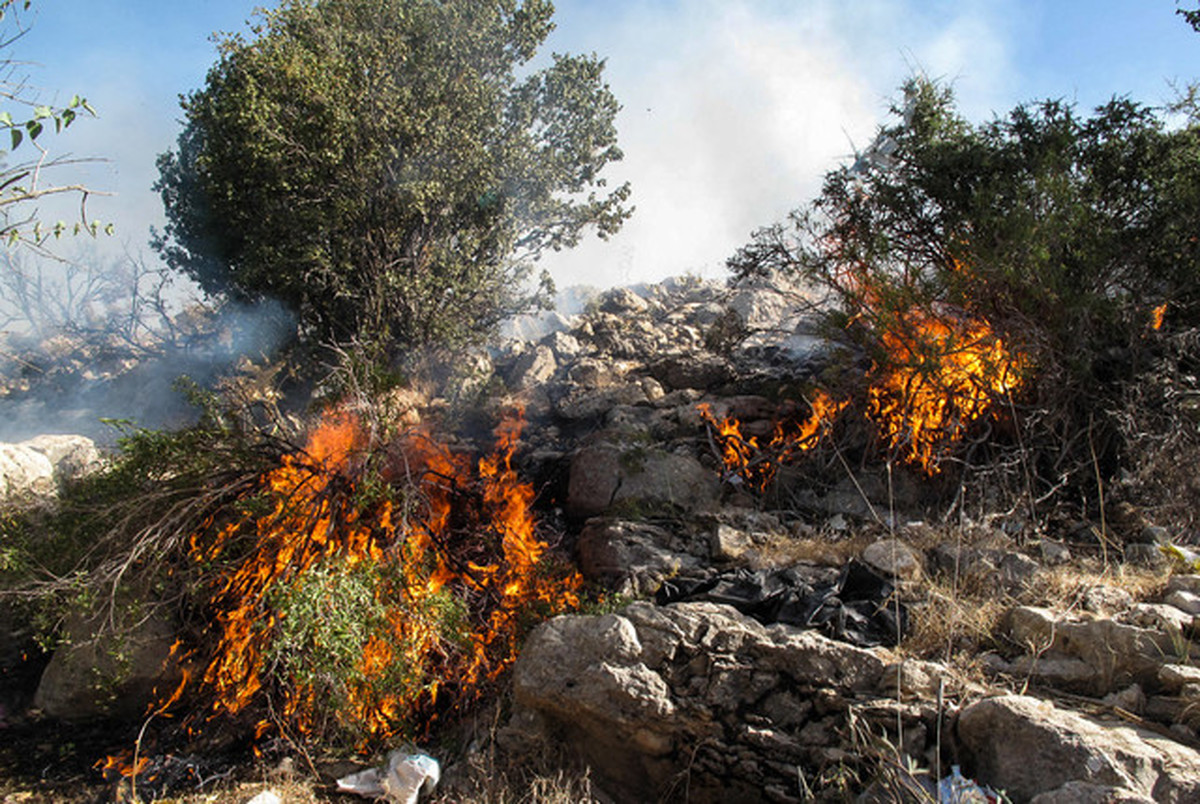 جنگل مارگون در بویراحمد آتش گرفت 