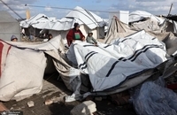 وضعیت دردناک مردم غزه پس از بارش باران و سرمای هوا  (8)