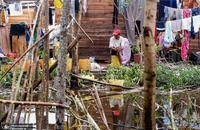 طوفان در ماداگاسکار ۳۱ کشته برجای گذاشت  (9)