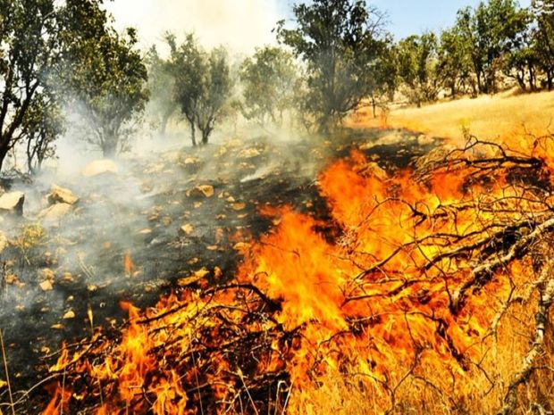 اراضی منابع طبیعی شمیرانات در خطر آتش سوزی قرار دارند