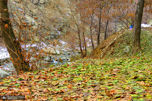 روستای «سنگان»