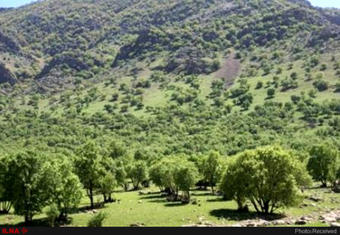 ایجاد بزرگترین پارک جنگلی غرب کشور در خرم آباد