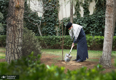 امسال رهبر انقلاب چه درخت هایی کاشتند؟
