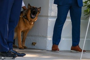 منتخب تصاویر امروز جهان - 5 تیر 1401