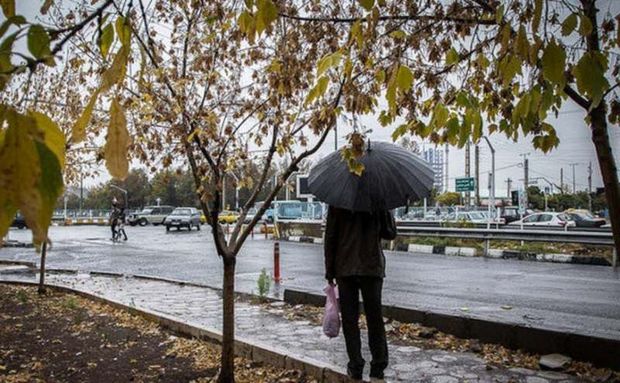 سامانه جدید بارشی وارد بوشهر می‎شود