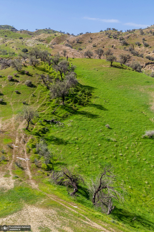 طبیعت بکر و زیبای«کفشکنان»