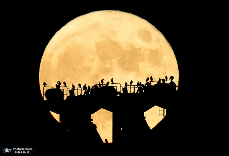 منتخب تصاویر امروز جهان- 3 مرداد 1400