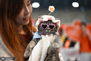 منتخب تصاویر امروز جهان - 20 اسفند 1403