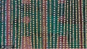 منتخب تصاویر امروز جهان- 11 خرداد 1400