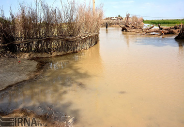 سیلاب 8 روستای هیرمند را فرا گرفت