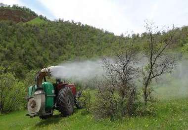 آغاز مبارزه بیولوژیکی با آفت برگ خوار و جوانه خوار بلوط در جنگلهای شهرستان سروآباد