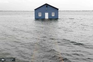 منتخب تصاویر امروز جهان- 6 خرداد