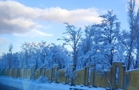 برف زیبای تبریز (9)