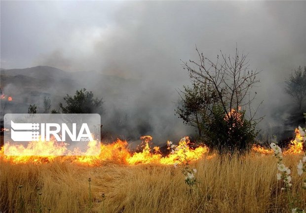 خسارت آتش به منابع طبیعی خراسان شمالی نصف شد
