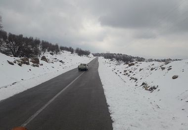 سرنشینان ۳۵ خودرو در برف تاراز اندیکا نجات یافتند