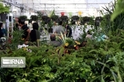 کرونا برپایی نمایشگاه سراسری گل و گیاه اراک را  لغو کرد