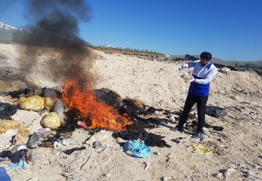 بیش از ۱.۵ تن گوشت غیر بهداشتی و فاسد در پیرانشهر از چرخه مصرف خارج شد