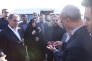 معاون رئیس جمهوری از شهرک گلخانه‌ای تاکستان بازدید کرد