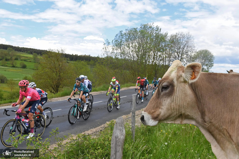 منتخب تصاویر امروز جهان- 11 خرداد 1400