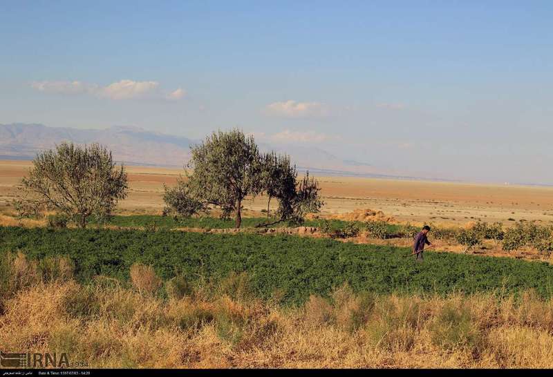 آخرین  تصاویر از دریاچه ارومیه‎