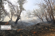 آتش سوزی یک هکتار از منابع طبیعی خوانسار مهار شد