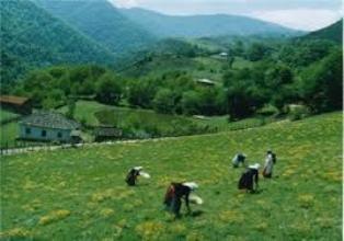 رضوانشهر از مناطق گردشگر پذیر استان گیلان محسوب می شود