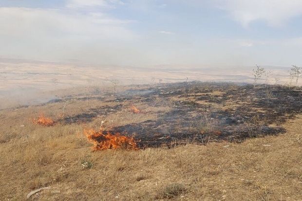 سوزاندن بقایای محصولات کشاورزی کاری غیرعلمی است